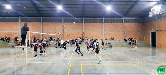 20250816_210516.jpg
