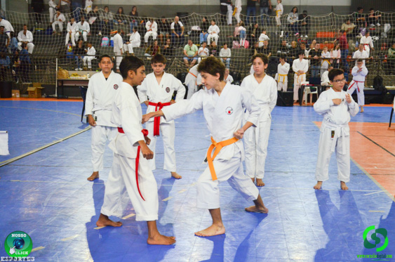 Filename=DSC_2370.jpg
Filesize=338KiB
Dimensions=960x636
Date added=Jul 28, 2025 DSC_2370.jpg
