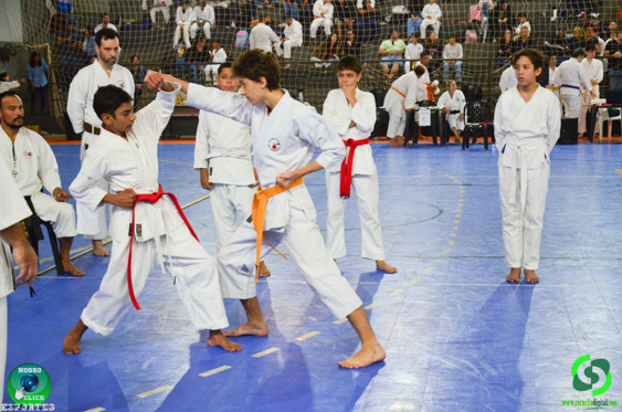 Filename=DSC_2374.jpg
Filesize=336KiB
Dimensions=960x636
Date added=Jul 28, 2025 DSC_2374.jpg