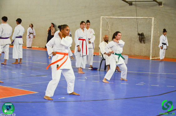 Filename=DSC_2393.jpg
Filesize=279KiB
Dimensions=960x636
Date added=Jul 28, 2025 DSC_2393.jpg