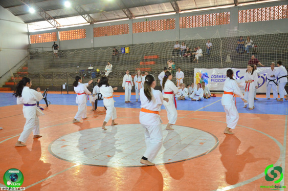 Filename=DSC_2630.jpg
Filesize=331KiB
Dimensions=960x636
Date added=Jul 28, 2025 DSC_2630.jpg