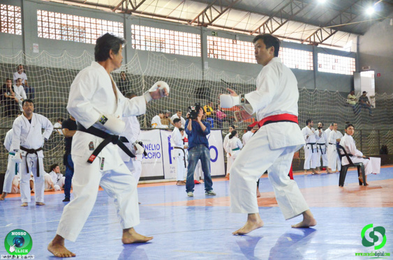 Filename=DSC_2848.jpg
Filesize=338KiB
Dimensions=960x636
Date added=Jul 28, 2025 DSC_2848.jpg