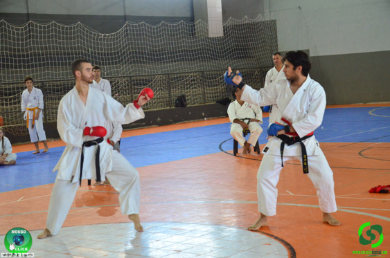 Filename=DSC_2895.jpg
Filesize=280KiB
Dimensions=960x636
Date added=Jul 28, 2025 DSC_2895.jpg
