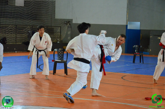Filename=DSC_2934.jpg
Filesize=265KiB
Dimensions=960x636
Date added=Jul 28, 2025 DSC_2934.jpg