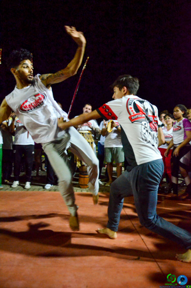 Filename=DSC_3588.jpg
Filesize=265KiB
Dimensions=636x960
Date added=Nov 24, 2025 DSC_3588.jpg