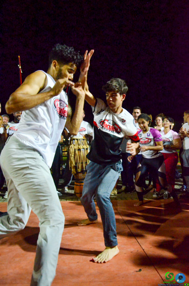 Filename=DSC_3590.jpg
Filesize=290KiB
Dimensions=636x960
Date added=Nov 24, 2025 DSC_3590.jpg