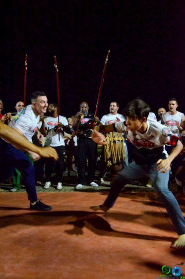 Filename=DSC_3591.jpg
Filesize=239KiB
Dimensions=636x960
Date added=Nov 24, 2025 DSC_3591.jpg