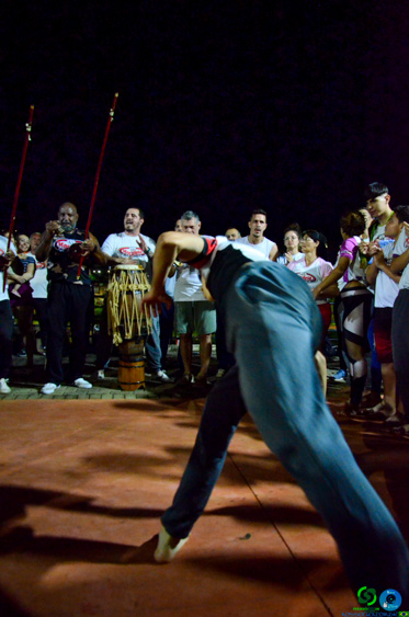 Filename=DSC_3594.jpg
Filesize=237KiB
Dimensions=636x960
Date added=Nov 24, 2025 DSC_3594.jpg