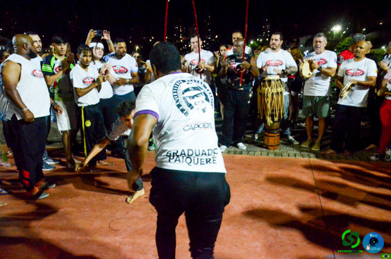 Filename=DSC_3725.jpg
Filesize=330KiB
Dimensions=960x636
Date added=Nov 24, 2025 DSC_3725.jpg