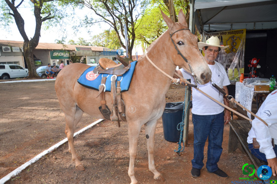 Filename=DSC_8270.jpg
Filesize=328KiB
Dimensions=960x636
Date added=Oct 26, 2025 DSC_8270.jpg