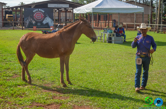 Filename=DSC_8279.jpg
Filesize=388KiB
Dimensions=960x636
Date added=Oct 26, 2025 DSC_8279.jpg