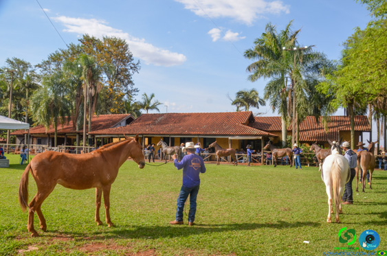 Filename=DSC_8281.jpg
Filesize=370KiB
Dimensions=960x636
Date added=Oct 26, 2025 DSC_8281.jpg