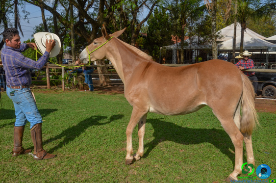 Filename=DSC_8298.jpg
Filesize=366KiB
Dimensions=960x636
Date added=Oct 26, 2025 DSC_8298.jpg