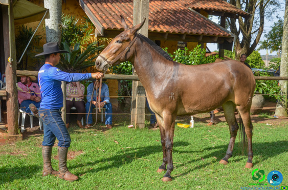 Filename=DSC_8304.jpg
Filesize=394KiB
Dimensions=960x636
Date added=Oct 26, 2025 DSC_8304.jpg