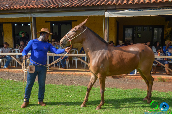 Filename=DSC_8305.jpg
Filesize=328KiB
Dimensions=960x636
Date added=Oct 26, 2025 DSC_8305.jpg