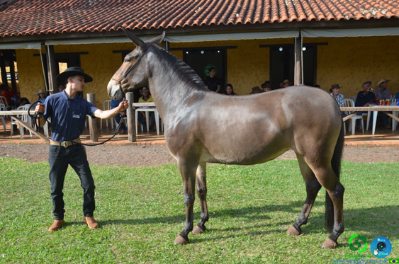 Filename=DSC_8311.jpg
Filesize=361KiB
Dimensions=960x636
Date added=Oct 26, 2025 DSC_8311.jpg