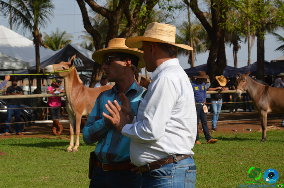 Filename=DSC_8312.jpg
Filesize=266KiB
Dimensions=960x636
Date added=Oct 26, 2025 DSC_8312.jpg