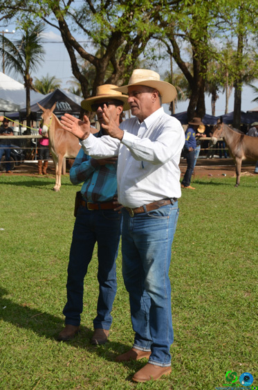 Filename=DSC_8313.jpg
Filesize=349KiB
Dimensions=636x960
Date added=Oct 26, 2025 DSC_8313.jpg