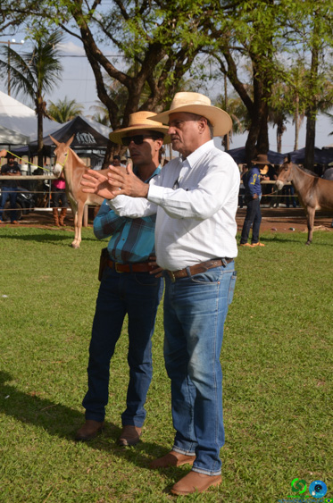 Filename=DSC_8314.jpg
Filesize=344KiB
Dimensions=636x960
Date added=Oct 26, 2025 DSC_8314.jpg