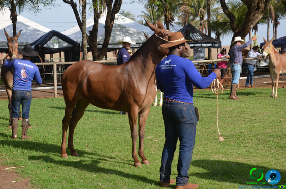 Filename=DSC_8345.jpg
Filesize=346KiB
Dimensions=960x636
Date added=Oct 26, 2025 DSC_8345.jpg