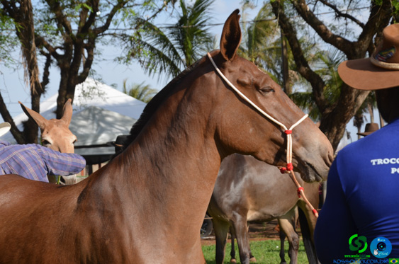 Filename=DSC_8348.jpg
Filesize=258KiB
Dimensions=960x636
Date added=Oct 26, 2025 DSC_8348.jpg