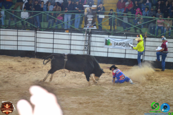 Filename=DSC_7544.jpg
Filesize=246KiB
Dimensions=960x636
Date added=Aug 31, 2025 DSC_7544.jpg