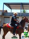 20-10-2013_cavalgada_urai_150.jpg